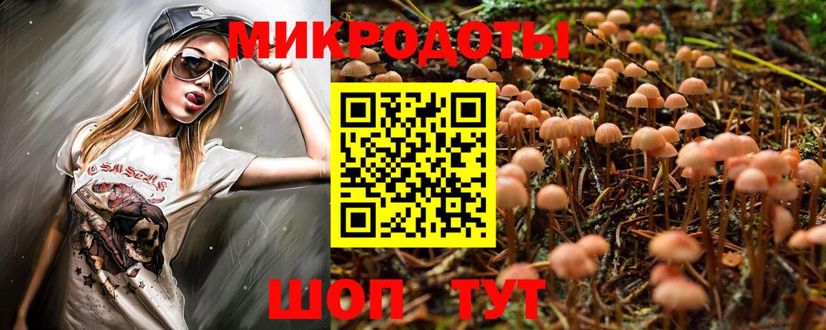 где можно купить   Галлюциногенные грибы ЛСД  Вход с VPN  Камень-на-Оби 