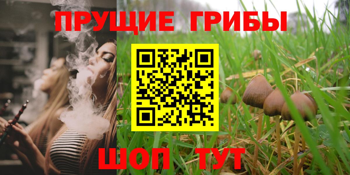 Псилоцибиновые грибы Cubensis Камень-на-Оби